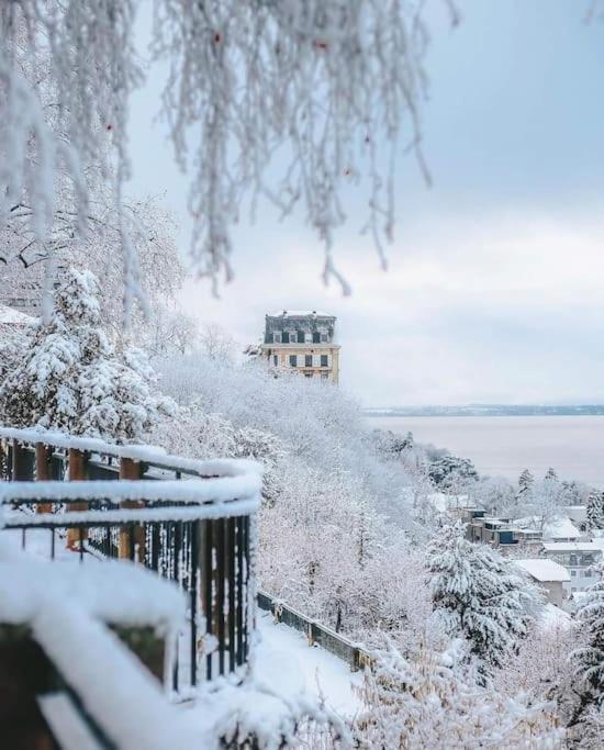 Appartement Avec Vue 180 Sur Le Lac Leman Thonon-les-Bains Eksteriør billede